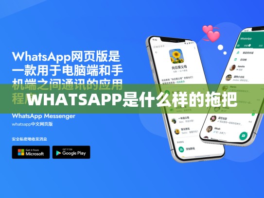 WHATSAPP是什么样的拖把