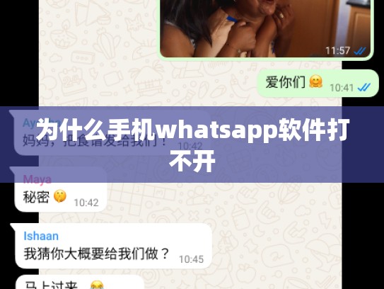 为什么手机whatsapp软件打不开