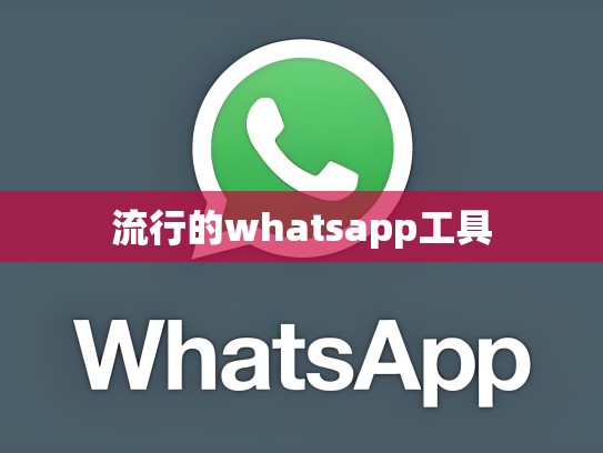 流行的whatsapp工具
