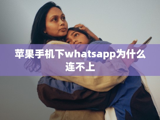 苹果手机下whatsapp为什么连不上