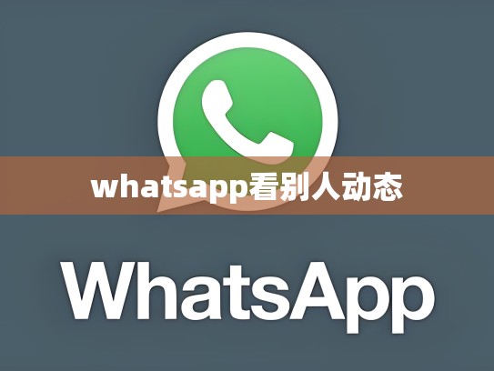 whatsapp看别人动态