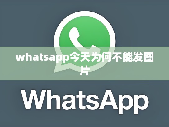 whatsapp今天为何不能发图片