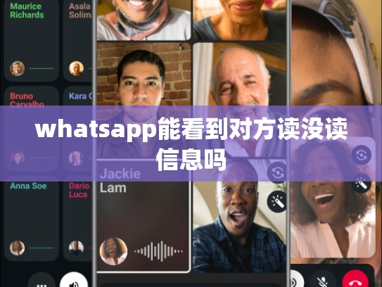 whatsapp能看到对方读没读信息吗