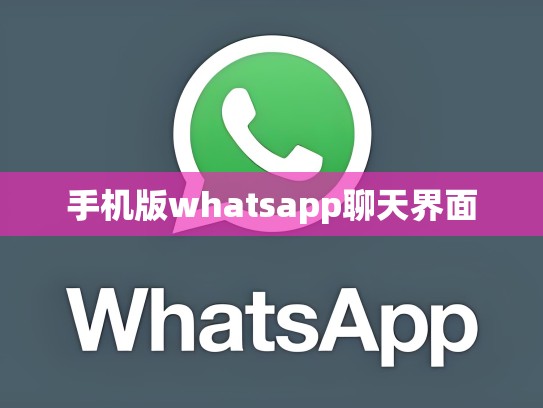 手机版whatsapp聊天界面