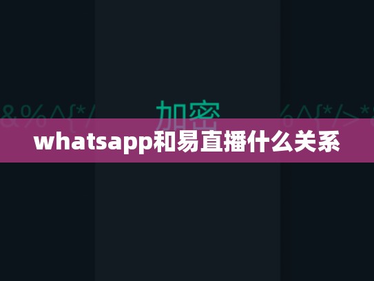 whatsapp和易直播什么关系