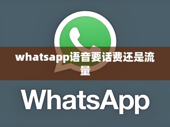 whatsapp语音要话费还是流量