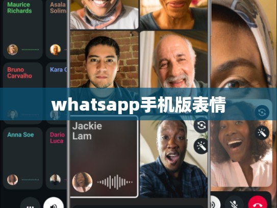 whatsapp手机版表情