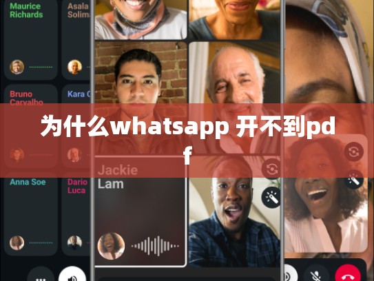 为什么whatsapp 开不到pdf