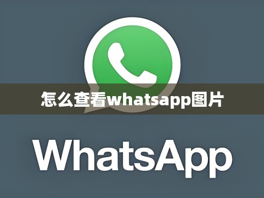 怎么查看whatsapp图片