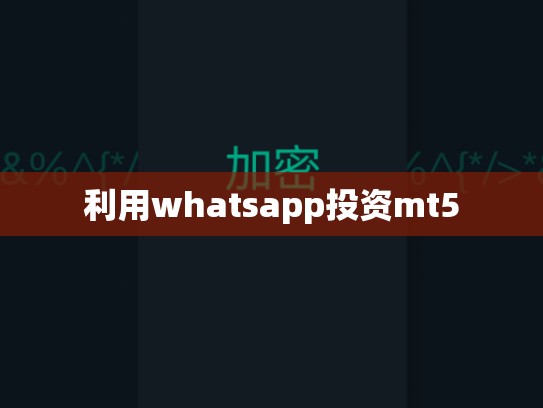 利用whatsapp投资mt5