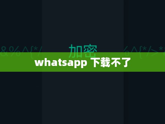 whatsapp 下载不了