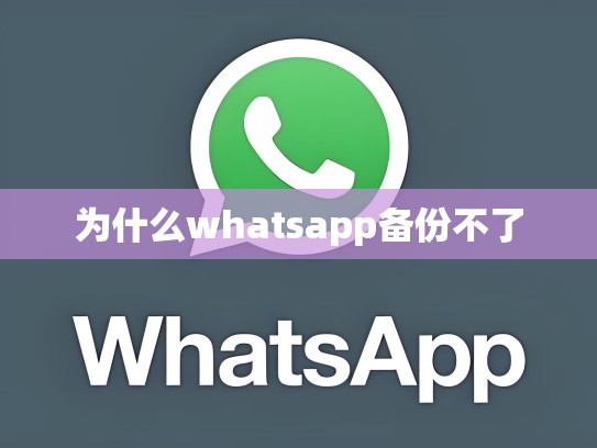为什么whatsapp备份不了