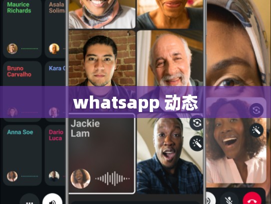 whatsapp 动态