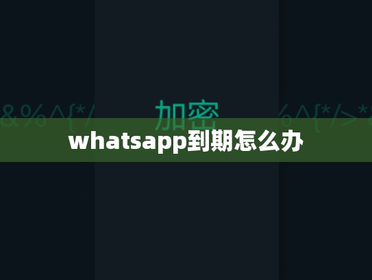 whatsapp到期怎么办