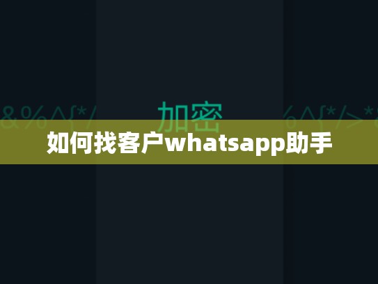 如何找客户whatsapp助手