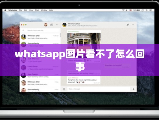 whatsapp图片看不了怎么回事