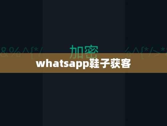 whatsapp鞋子获客