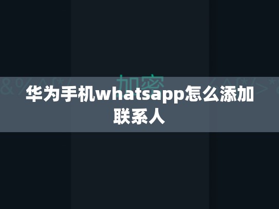 华为手机whatsapp怎么添加联系人