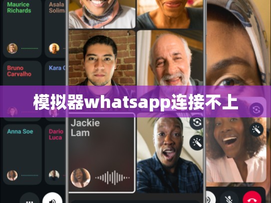 模拟器whatsapp连接不上