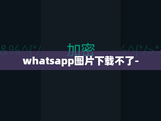 whatsapp图片下载不了-