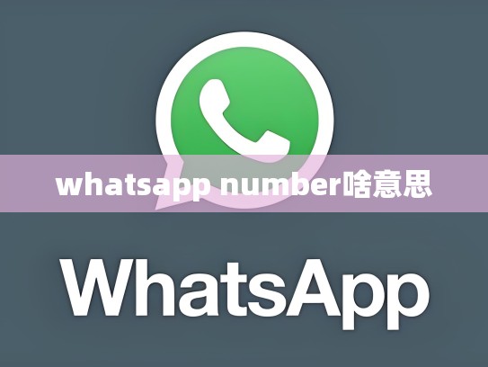 whatsapp number啥意思
