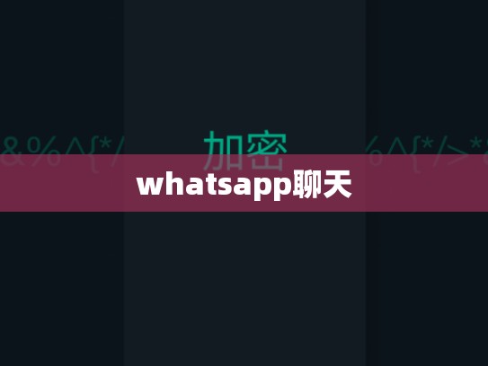 whatsapp聊天