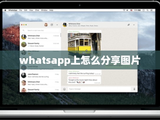 whatsapp上怎么分享图片