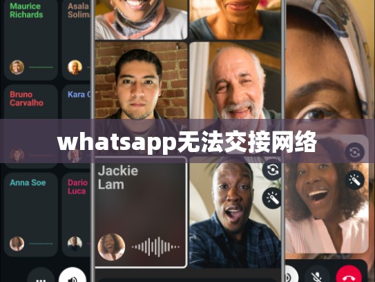 whatsapp无法交接网络