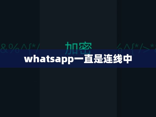whatsapp一直是连线中