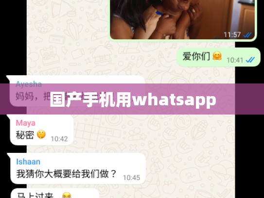 国产手机用whatsapp