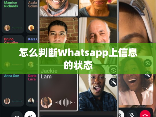 怎么判断Whatsapp上信息的状态