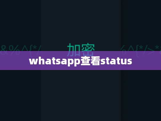 whatsapp查看status