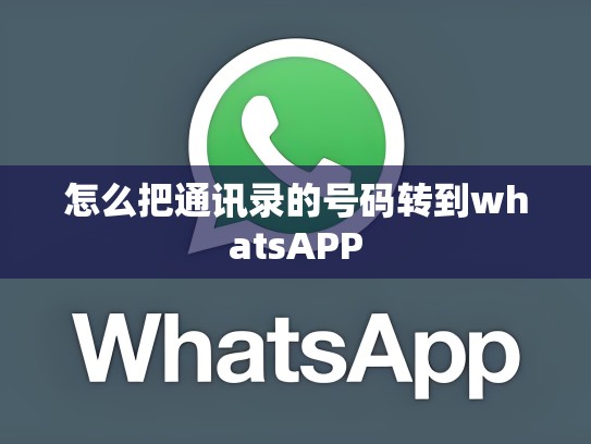 怎么把通讯录的号码转到whatsAPP
