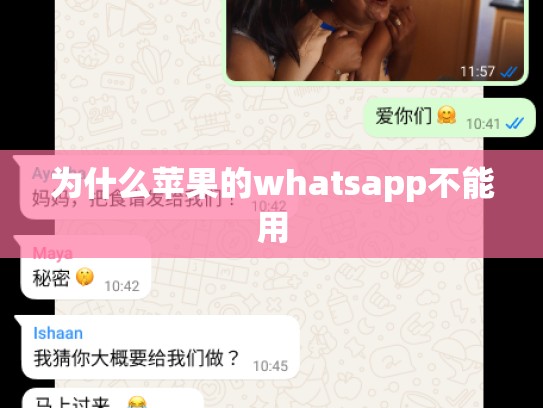 为什么苹果的whatsapp不能用
