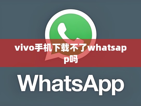 vivo手机下载不了whatsapp吗