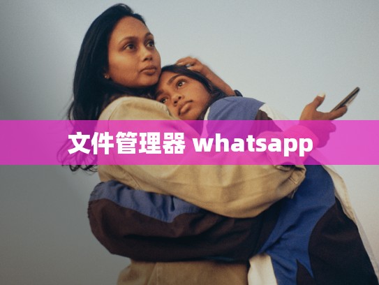 文件管理器 whatsapp