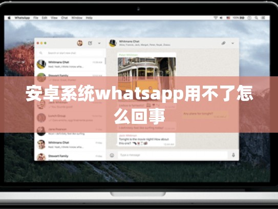 安卓系统whatsapp用不了怎么回事