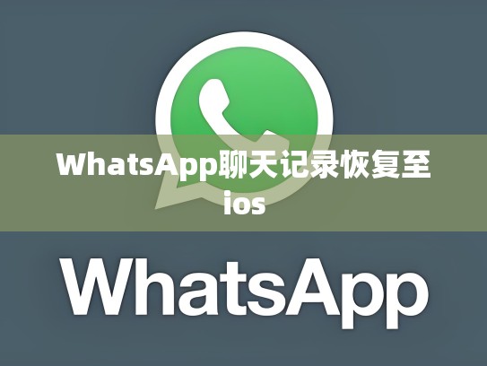 WhatsApp聊天记录恢复至ios