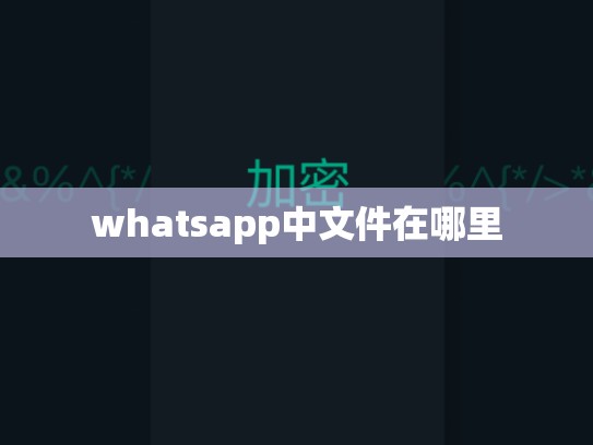 whatsapp中文件在哪里