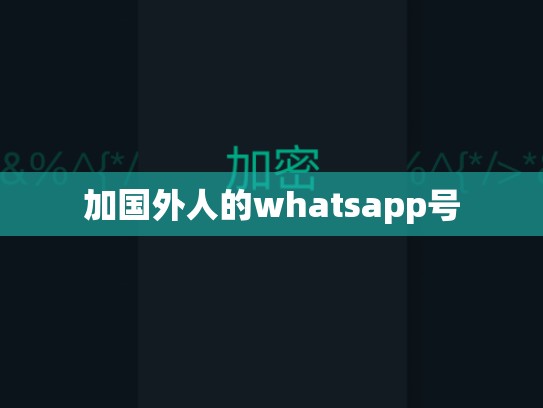 加国外人的whatsapp号