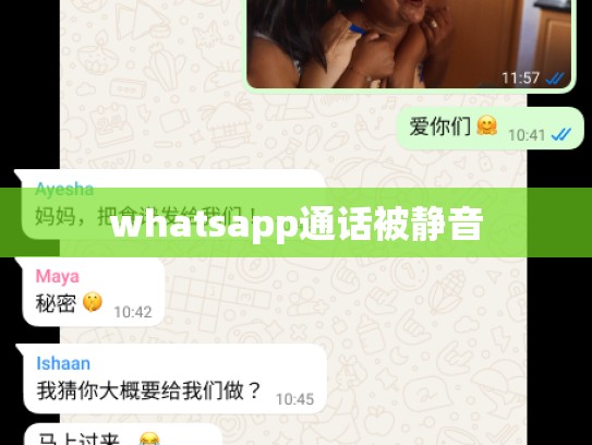 whatsapp通话被静音