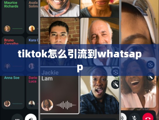 tiktok怎么引流到whatsapp