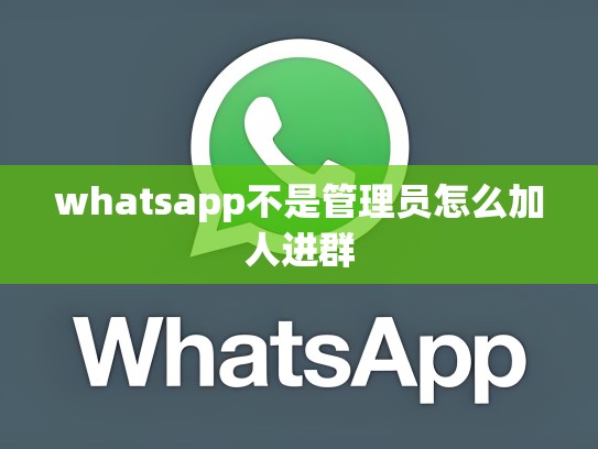 whatsapp不是管理员怎么加人进群